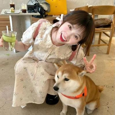 血腥拼图